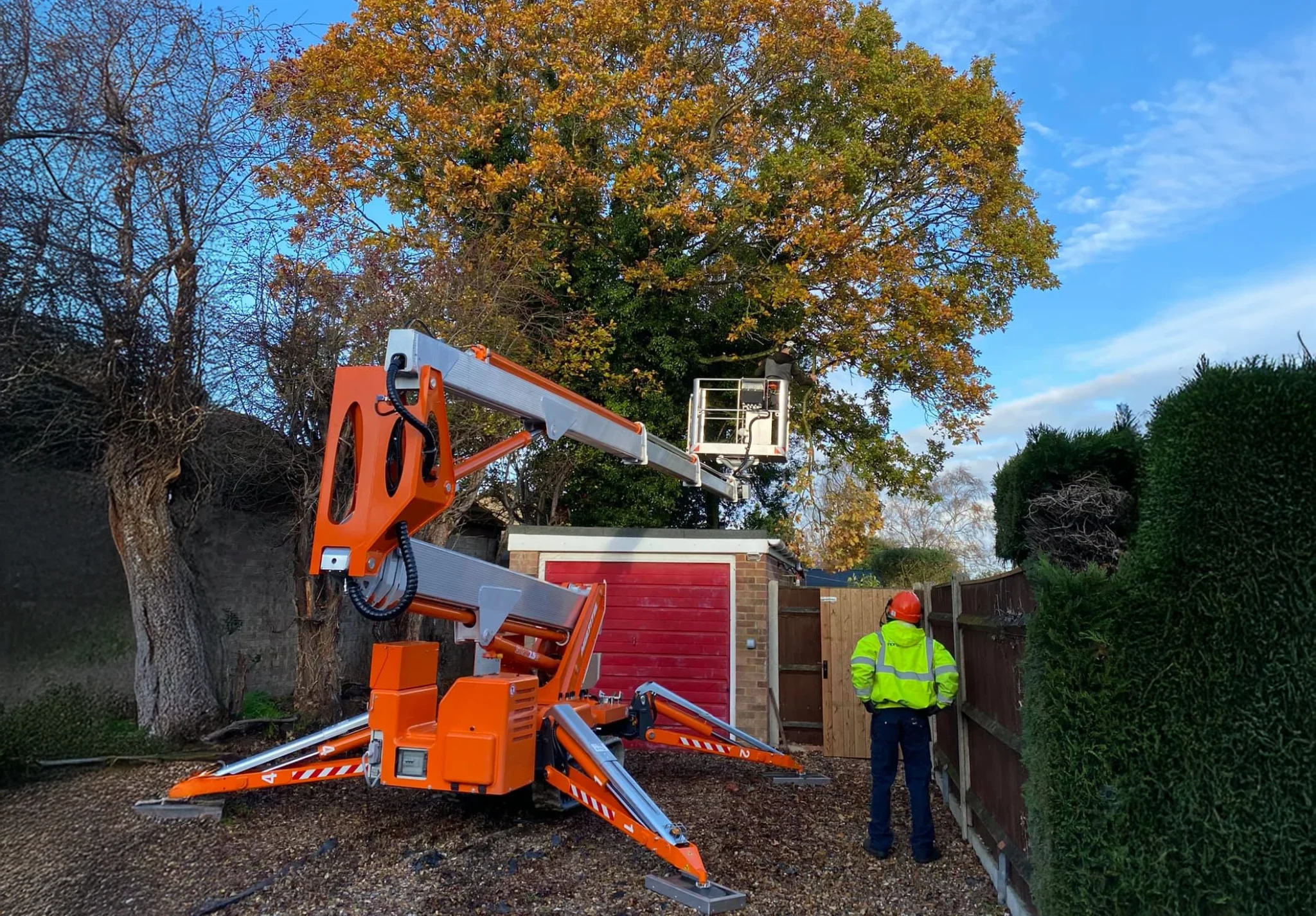 Tree Surgeons Norwich