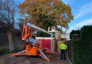 The Importance of Spring Pruning – Expert Insight from PRTS Tree Services