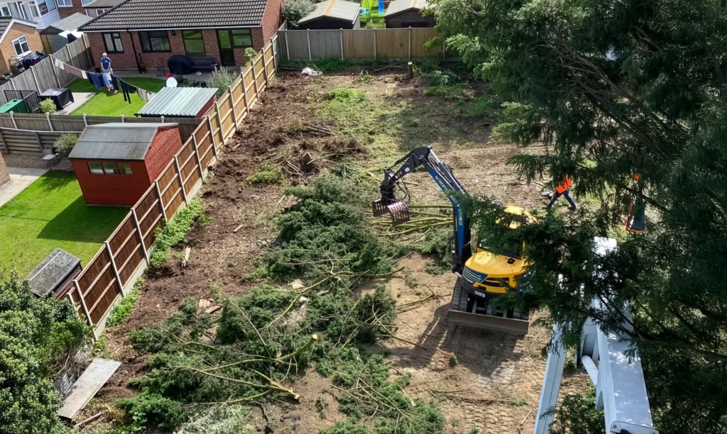 Tree Surgeons Norfolk