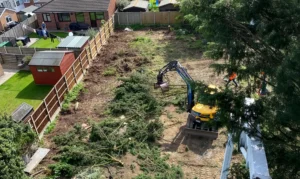 Spring Is Here – Get Your Trees Ready for Summer with PRTS Tree Services