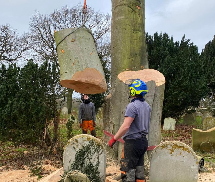 Tree Surgeons Norfolk